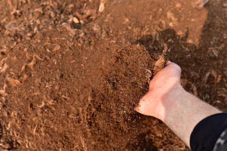 Peat Moss background. Peat moss industry harvests and ships millions of kilograms to countries around the world. Peatlands at extraction siteの写真素材