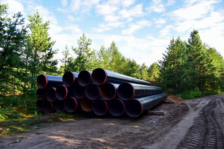 Crude oil and Natural gas pipeline construction work in forest area. Petrochemical Pipe on top of...