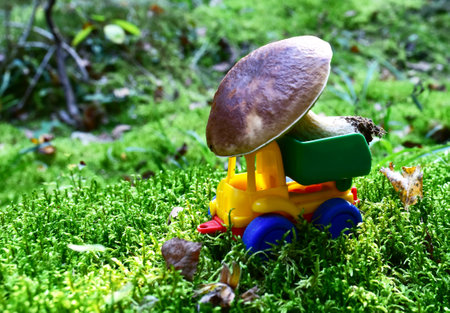 Funny toy truck transports a natural Porcini Cep White Mushroom in the forest against a background of green moss and trees. Children playing a game. Mushrooming harvesting season in wildlifeの写真素材