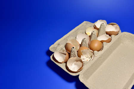 Broken Egg Shel in a paperboard on blue background. Chicken cracked eggs. Eggshell concept....