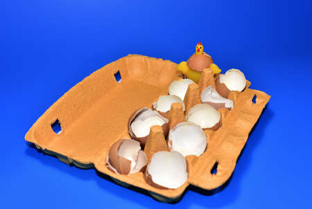 Chicken in a hen's egg among the broken empty eggs in a paperboard on blue background. Broken egg and born chick. Ð¡hicks ran away from the chicken mother. Farming and agriculture concept.の写真素材