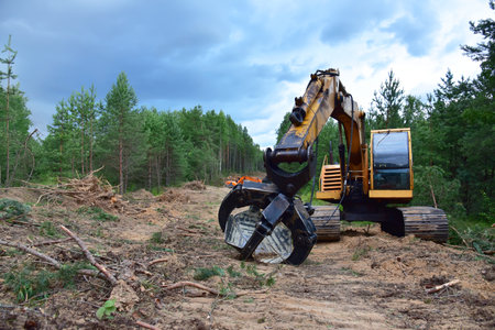 Excavator Grapple during clearing forest for new development. Tracked Backhoe with forest clamp for forestry work. Tracked timber Crane and Hydraulic Grab log Loader.の写真素材