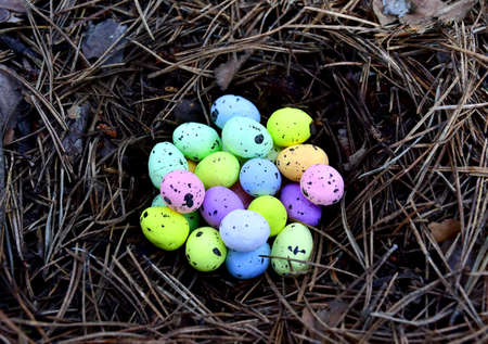 Multi-colored Easter eggs in a bird's nest. Straw and twig bird nest with egg. Easter is a Christian...