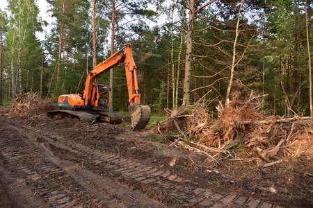 Excavator clearing forest for new development. Orange Backhoe modified for forestry work. Tracked heavy power machinery for forest and peat industry.の写真素材