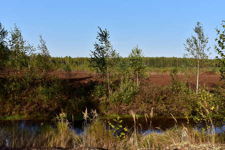 View of a small river in the forest against the background of a peat extraction field. Mining and...