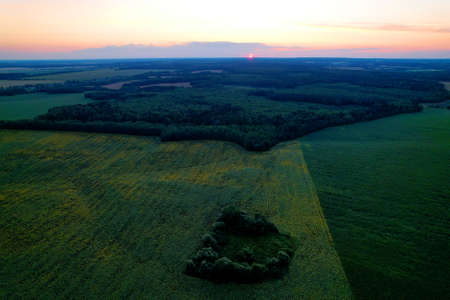 Aerial view of the forest and field on sunset. Drone view from above of fields and a hilltop...