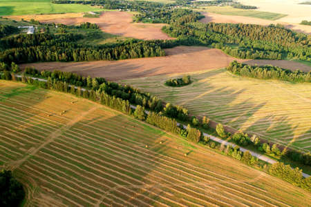 Top view of road near agricultural field. Road through the green plant. Ecosystem and environment...
