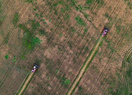 Combine harvester working in wheat field. Top view of the harvesting machine during cutting crop in a farmland. Aerial view of Combines during grain harvesting. Flour and bread production.の写真素材