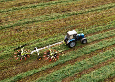 Tractor raking grass for silage harvesting. Agriculture machinery working at field. Grass Silage for animal feeding on the farm. Wheel Rakes for Grass silage raking, baling and wrapping. Hay making.の写真素材