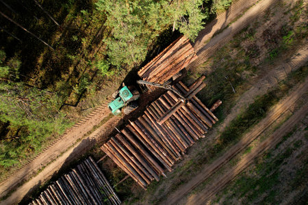 Crane forwarder machine during clearing of forested land. Wheeled harvester transports raw timber from felling site out. Harvesters, Forest Logging machines. Forestry forwarder on deforestation.の写真素材