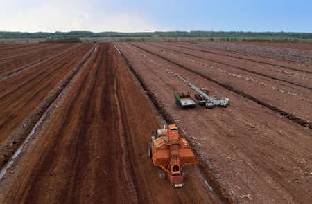 Peat Harvester Tractor on Collecting Extracting Peat. Mining and harvesting peatland. Area drained of the mire are used for peat extraction. Drainage and destruction of peat bogs.の写真素材