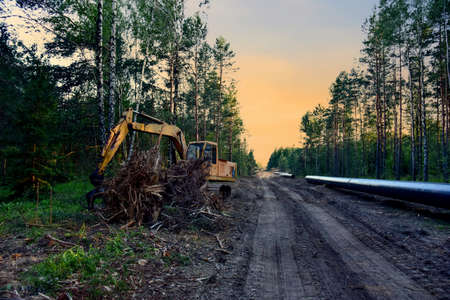 Excavator Clamp Bucket Grapple during clearing forest. Natural gas pipeline construction. Backhoe with forest clamp for forestry work. Hydraulic Grab log Loader. Soft focusの写真素材