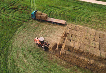 Farmer unloading round bales of straw from Hay Trailer with a front end loader. Store hay at farm. Hay rolls as Forage feed for beef and dairy cattle, sheep and horses. Making hay in autumn season.の写真素材