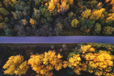 Highway in the forest with trees in yellow leaves in the autumn season, top view. Aerial view of the road in autumn. Traveling by car on October weekend. Forest background in autumn.の写真素材