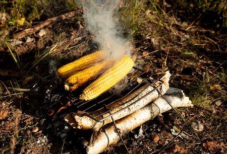 Grilled corn on the fire. Cooking food over a campfire in the forest. Survival in the wild. Fire roasted grilled cornの写真素材
