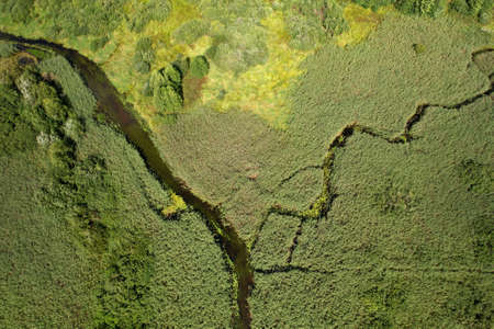 River in the wild. Aerial view of small river in middle of green forest in the wildlife. Natural...