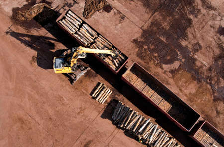 Excavator with log grab crane unloads timber from freight car. Crane with claw loads logs onto log...