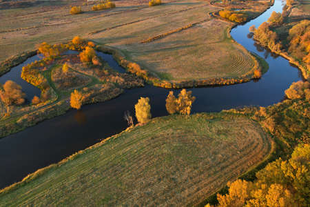 Aerial view of the river in the wild during the fall season. Trees with yellow leaves at sunset on a...