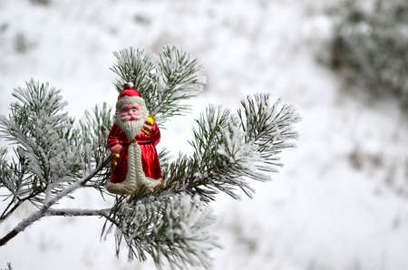 Christmas toy Santa Claus on a natural branch with pine tree needles in the snow background....
