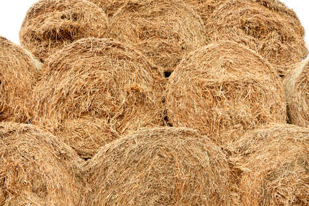 Haystacks background, texture. Hay storage in field. Hay prepared for farm animal feed in winter....