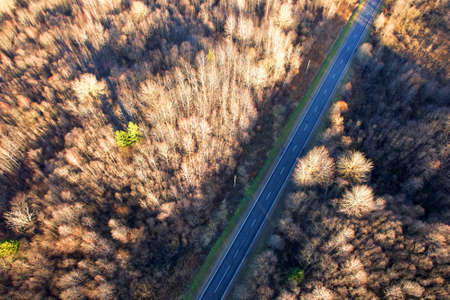 Highway in the forest with trees in the autumn season, top view. Aerial view of the road in spring....