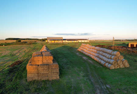 River at field in the fall season. golden autumn landscape. Aerial view of the wild river at sunset in autumn season. Trees with yellow leaves at a small winding river. Aerial panoramic landscape.の写真素材
