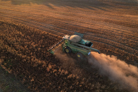 Combine harvester John Deere harvesting oilseed rape in field. Aerial view of harvest season in farm...