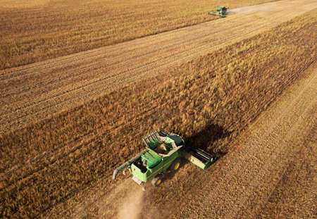 Combine harvester John Deere harvesting oilseed rape in field. Aerial view of harvest season in farm...