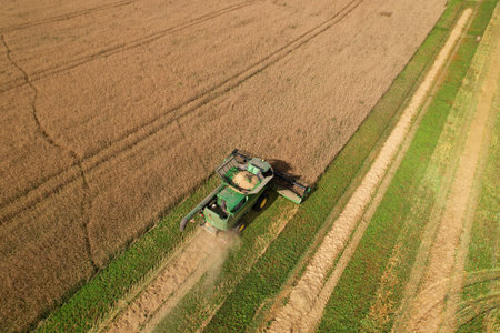 Combine harvester John Deere harvesting oilseed rape in field. Aerial view of harvest season in farm field. Top view of Harvesting oilseed rape. Farmer rape harvesting. Russia, Smolensk, Aug 23, 2020.のeditorial素材