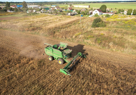 Combine harvester John Deere harvesting oilseed rape in field. Aerial view of harvest season in farm...