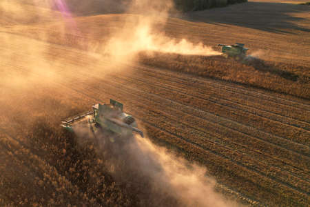 John Deere combine harvester on spring wheat harvesting. Wheat and corn react markets in crisis world's breadbasket. Winter barley yields. Wheat, maize, soybeans. Russia, Smolensk, September 23, 2021.のeditorial素材