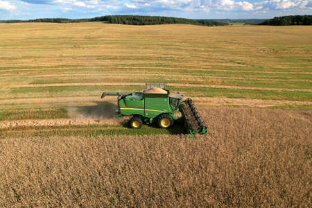 Combine harvester John Deere harvesting oilseed rape in field. Aerial view of harvest season in farm...