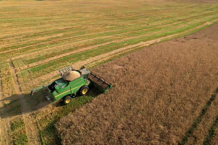 Combine harvester John Deere harvesting oilseed rape in field. Aerial view of harvest season in farm...