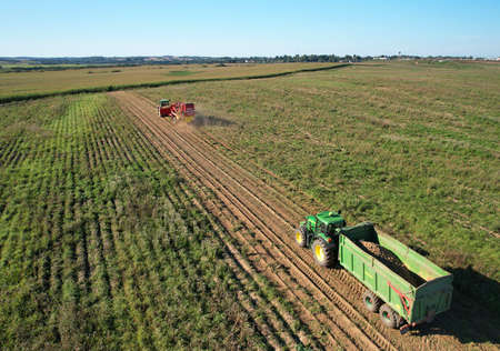 John Deere Tractor with trailer on potato harvesting. John Deere Tractor with GRIMME Potato...