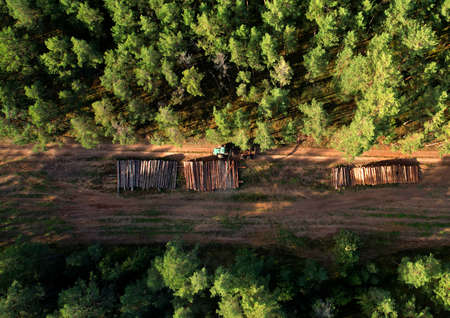 Crane forwarder machine during clearing of forested land. Wheeled harvester transports raw timber from felling site out. Harvesters, Forest Logging machines. Forestry forwarder on deforestation.の写真素材