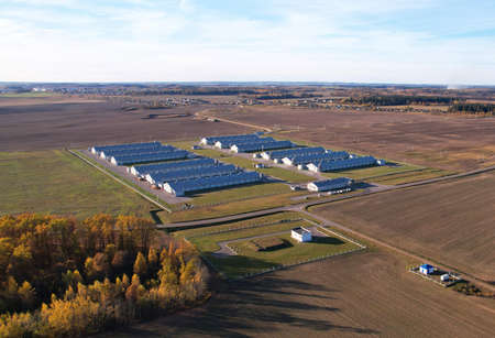 Farm building with cows and pigs in the village, aerial view. Cowshed near agriculture field. Production of milk and Animal husbandry. Cow Dairy. Farm animals and Agronomy. Farm of cattle.の写真素材