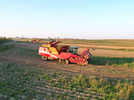 Potato Harvester during seasonal harvesting of potatoes from field. Agricultural Potato Combine...