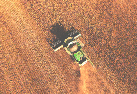 spring wheat harvesting. Wheat and corn react markets in crisis world's breadbasket. Wheat import, maize (corn), soybeans. Global crop prices in food crisis. Global food inflation and hunger.の写真素材