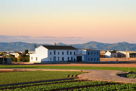 Farmland and farm field in rural areas. Village house at agriculture field in countryside. Landhorchata. Sowing grain and harvesting. Alboraya agriculture. Almaceraâ Wineries and Vineyard. Olive soil.の写真素材