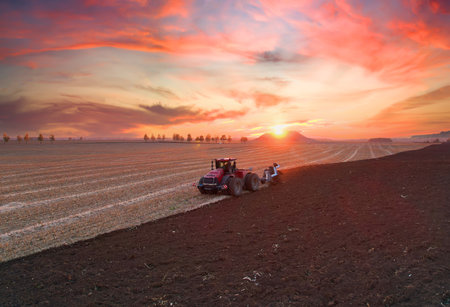 Tractor Plowing field on sunset. Cultivated land and soil tillage. Tractor with disc cultivator on land cultivating. Agricultural tractor on cultivation field. Tractor disk harrow on plowing field.の写真素材