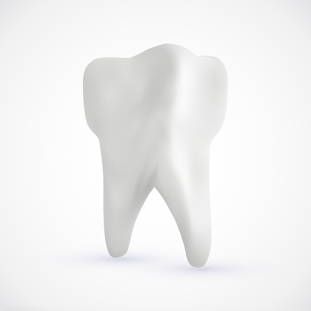 White healthy human tooth isolated on a white background with copy space. 3D rendering.のイラスト素材