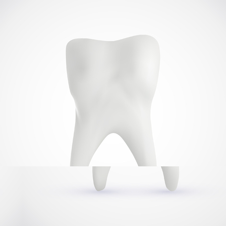 White healthy human tooth isolated on a white background with copy space. 3D rendering.のイラスト素材