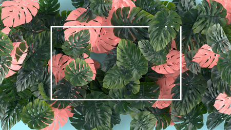 Tropical leaves Monstera on pink background. Template layout, minimal fashion summer concept art .の写真素材