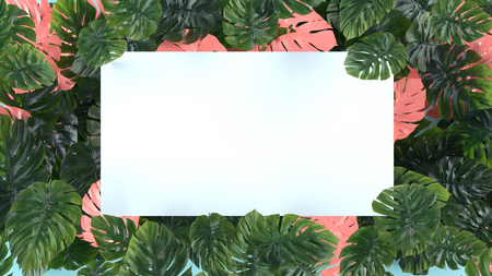 Tropical leaves Monstera on pink background. Template layout, minimal fashion summer concept art .の写真素材