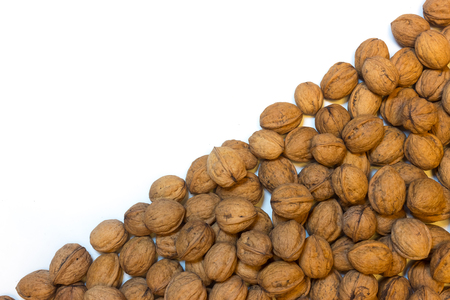 Walnuts on a white backgroundの写真素材