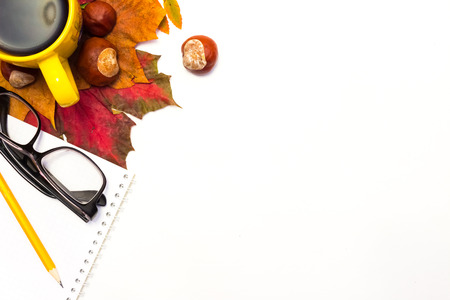 White blank with autumn maple leaves. Copy space
