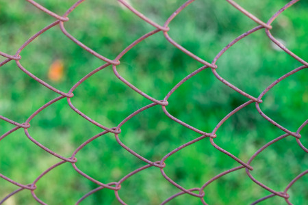 Wired fence on the background of green grass in the summer villageの写真素材