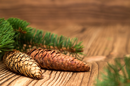 christmas background with fir branches and conesの写真素材