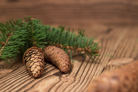 christmas background with fir branches and conesの写真素材