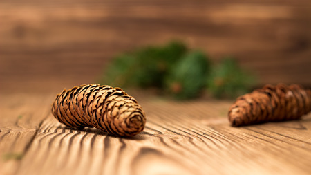 christmas background with fir branches and conesの写真素材